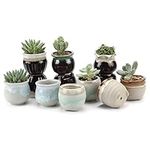 T4U Small Ceramic Succulent Pots wi