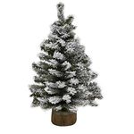 Kurt S. Adler 12-Inch Flocked Miniature Canadian Pine Tree