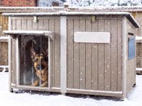 Ketive Large Dog House Outdoor XL Wooden Dog House with Weatherproof Asphalt Roof, Chew-Resistant Frame, Removable Floor, for Medium to Large Dogs Indoor Outdoor Use (Grey, 55.1"L x 33.1"W x 34.8"H)