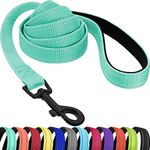 CollarDirect Nylon Dog Leash 5ft for Daily Outdoor Walking Running Training Heavy Duty Reflective Pet Leashes for Large, Medium & Small Dogs (Mint Green, Medium)