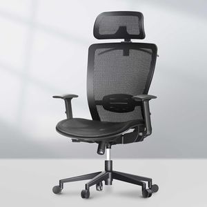 FLEXISPOT Ergonomic Office Chair High Back Mesh Swivel Computer Chair Home Office Desk Chairs with Wheels Lumbar Support Deep Black