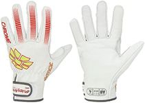 HexArmor Cut-Resistant Insulated Le