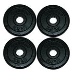 Iron Disc Weight Plates - 10 lb Set (4 Each: 2.5 lb Weights)