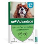 Advantage Spot On Flea Treatment For Medium Dogs 4 - 10 kg (1 pipette, 100mg), Kills Fleas Within 24 Hours, Prevents Further Infestation For Up To Four Weeks