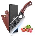 DRAGON RIOT Kitchen Knives for Meat, Hand Forged Chef Knife, Japanese Cooking Knife with Sheath, Full Tang Knives for Outdoor BBQ