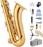 STRICH Bb Tenor Saxophone Brass Student Beginner Tenor Sax Kit with Hard Case Stand Neck Strap Mouthpiece and Reeds for School Band Home Practice, SSA-21G, Gold