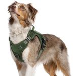 rabbitgoo Dog Harness No Pull, Military Dog Harness Medium Breed with Handle & Molle, Easy Control Service Dog Vest Harness Training Walking, Adjustable Reflective Tactical Pet Harness, Green, M