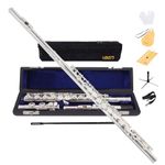 Jinqu YANASON Closed Hole C Flutes 16 Key Nickel Beginner Student with Carrying Case Gloves Cleaning Rod Adjustment Screws and Cloth (16 silver)