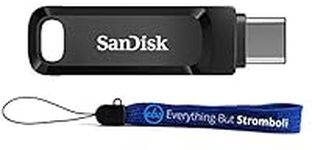 SanDisk Ultra Dual Drive Go USB Typ