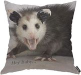 AOYEGO Hey Baby Opossum Throw Pillow Cover Cute Animal Pillow Case 18x18 Inch Decorative Men Women Boy Girl Room Cushion Covers for Home Couch Bed