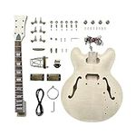 DBL DIY Electric Guitar Kit,Semi-Ho