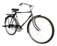 RALLEY GOLD Rally Popular 22 Inch Men's Full Size Bicycle | with Carrier, Stand and Lock | Single Speed (48 Teeth Heavy Duty Chainwheel), Road Bike