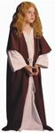 RG Costumes Kids Shepherd Costume, & Dress Up, Party Supplies, Multicolor, 1ct, Multicolored, Multisize