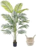 Warmplants Artificial Palm Tree, 6f