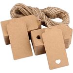 H&S Gift Tags 120pcs Brown Kraft Paper Tags with String for Christmas Wedding Birthday