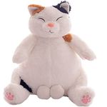 PEDEIECLStuffed Animal Pillows, Cute Lazy Cat Plush Toys, Stuffed Plush Dolls, Gifts for Friends