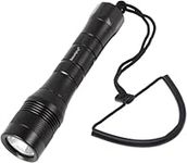 SecurityIng Waterproof 1000 Lumens 