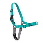 PetSafe Easy Walk Dog Harness, Teal, Large