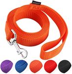 AMAGOOD 1.8M(6 FT) Puppy/Dog Leash, Strong and Durable Traditional Style Leash with Easy to Use Collar Hook,Dog Lead Great for Small and Medium and Large Dog(1" X 6 Feet, Orange)