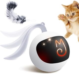 Migipaws I