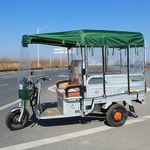 Sun Adult Tricycles