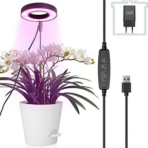 Lampe Plan