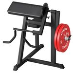 GMWD Bicep Tricep Curl Machine, 250LBS Plate Loaded Bicep Curls and Tricep Extension Machine, 2 in 1 Exercise Equipment for Home Gym Workout Station, Black