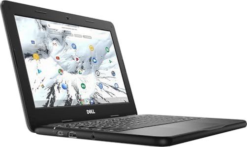 Dell 3100 