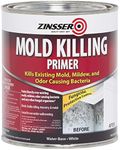 Rust-Oleum 276087 Mold Killing Prim
