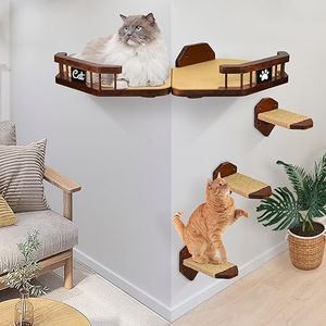 Cat Wall F