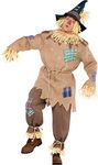 Amscan 840288-55 - Adults Mr. Scarecrow with Pointed Hat World Book Day Fancy Dress Costume Size: Standard