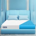 The Sleep Company SmartGRID Ortho 6 Inch Mattress King Size | AIHA Certified Medium Firm Orthopedic Mattress for Back Pain Relief | Patented Japanese SmartGRID Technology | 72x72 | 10 Years Warranty