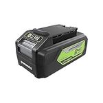 Greenworks 24V 4.0 AH Lithium Ion Battery 29852 Black