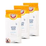 Arm & Hammer Dog Grooming Wipes, Deodorizing Dog Cleaning Wipes with Coconut Water, Gentle for Dogs and Puppies, Paraben and Sulfate Free Formula, Light Coconut Scent, 100 Count - 3 Pack
