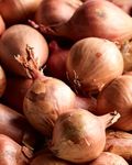 Large Pickling Shallots 4kg (45+mm)