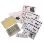 WhizKidsLab 12 Prepared Insect Bug Parts Microscope Slides Set Real Beetle Specimen Postcards STEM Science Kit