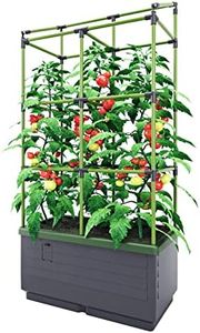 Bio Green 