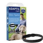 Dap Dog Collar