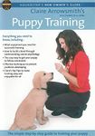 Puppy Training Dvd