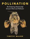 Pollination: The Enduring Relations