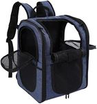 Apollo Walker Pet Carrier Backpack 