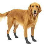 Kurgo Blaze Dog Socks - Stretch Socks for Dog Shoes - Makes Putting On Dog Shoes Easier - Pet Socks for Outdoors - Heel Tab, Fast Drying Fabric, Secure Fit - Medium