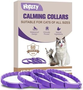 Cat Calmin