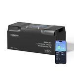 Renogy 12V 200Ah Lithium Battery Smart LiFePO4 Lithium Iron Phosphate Battery w/Bluetooth & Self-Heating, 5000+ Cycles, Perfect for Trolling Motor, RV, Camping, Marine, Off-Grid System, Pro Series