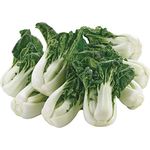 Caribou Seed Company | TOY CHOY PAK CHOI | 40-50 Seeds | Asian/Chinese Cuisine | Organic, Heirloom Seed