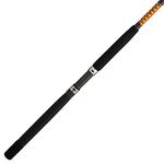 Bigwater Conventional Rod Black/Red/Yellow 6'