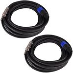 Seismic Audio - SASPT12-25-2Pack - Pair of 25 Foot Pro Audio Speakon to 1/4" Speaker Cables -12 Gauge 2 Conductor 25' Speaker Cables