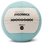 Champion Sports Rhino Promax Slam Ball, 14