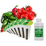 AeroGarden Salsa Garden Seed Pod Kit (9-Pod)