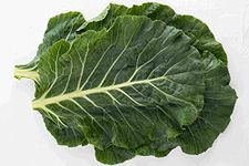 SeedsUP - 100+ Perpetual Spinach Swiss Chard (Leaf Beet) - Vegetable Green